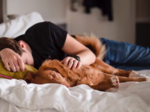 sieste avec un chien