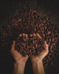 Fèves de cacao dans un sac